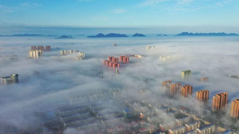 活鱼活虾活螃蟹能带上地铁吗?天津官方回应了!
